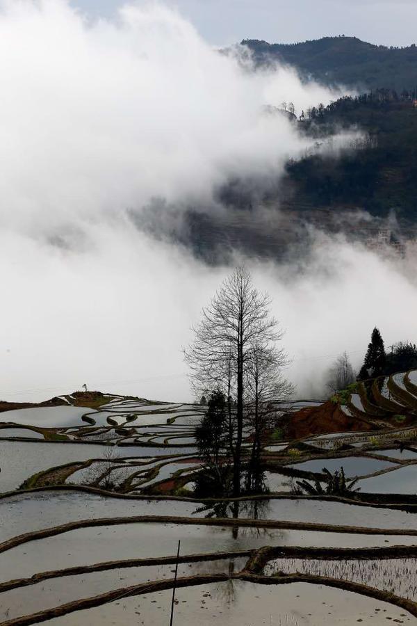 Green Hostel & Sunny Guesthouse Yuanyang  Bagian luar foto