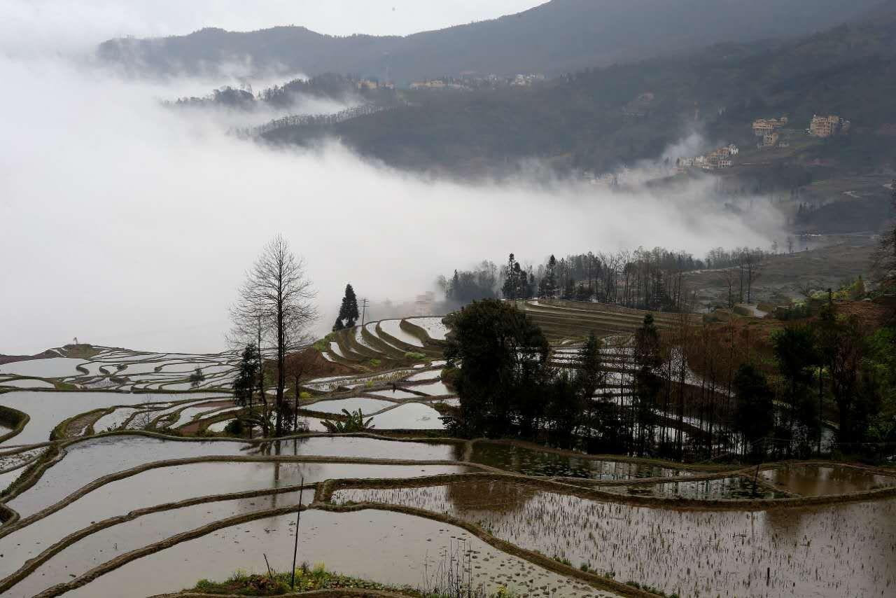 Green Hostel & Sunny Guesthouse Yuanyang  Bagian luar foto